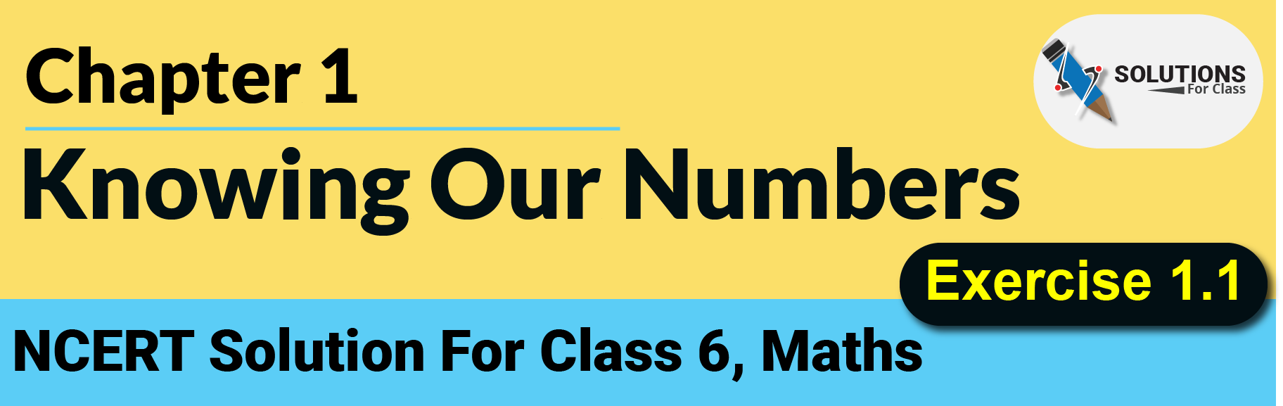 NCERT Solution For Class 6, Maths, Chapter 1, Knowing Our Numbers, ex. 1.1