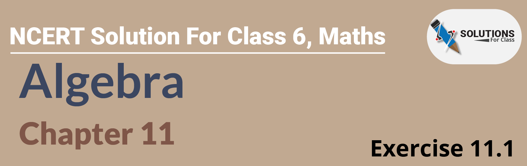 NCERT Solution For Class 6, Maths, Chapter 11, Algebra ,Exercise 11.1