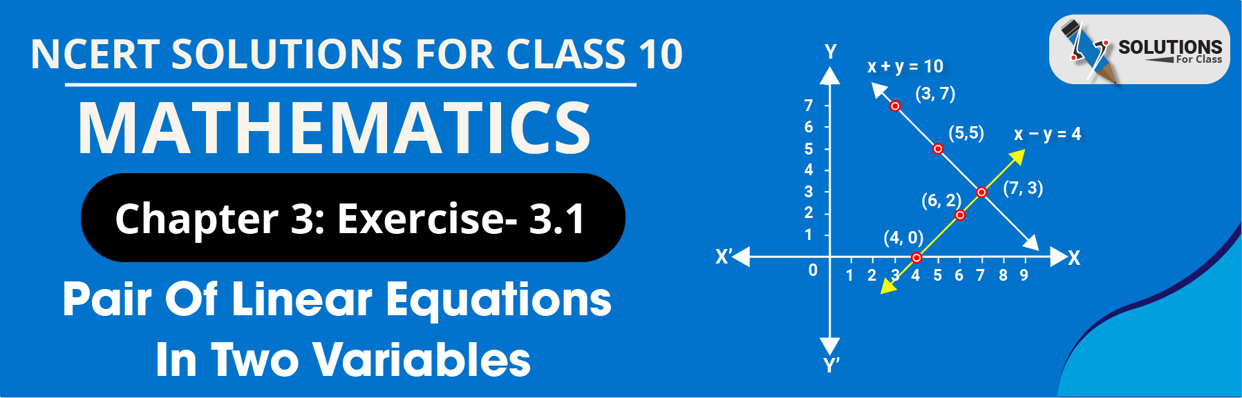 NCERT Solution For Class 10, Maths, Pair Of Linear Equations In Two Variables, Exercise 3.1
