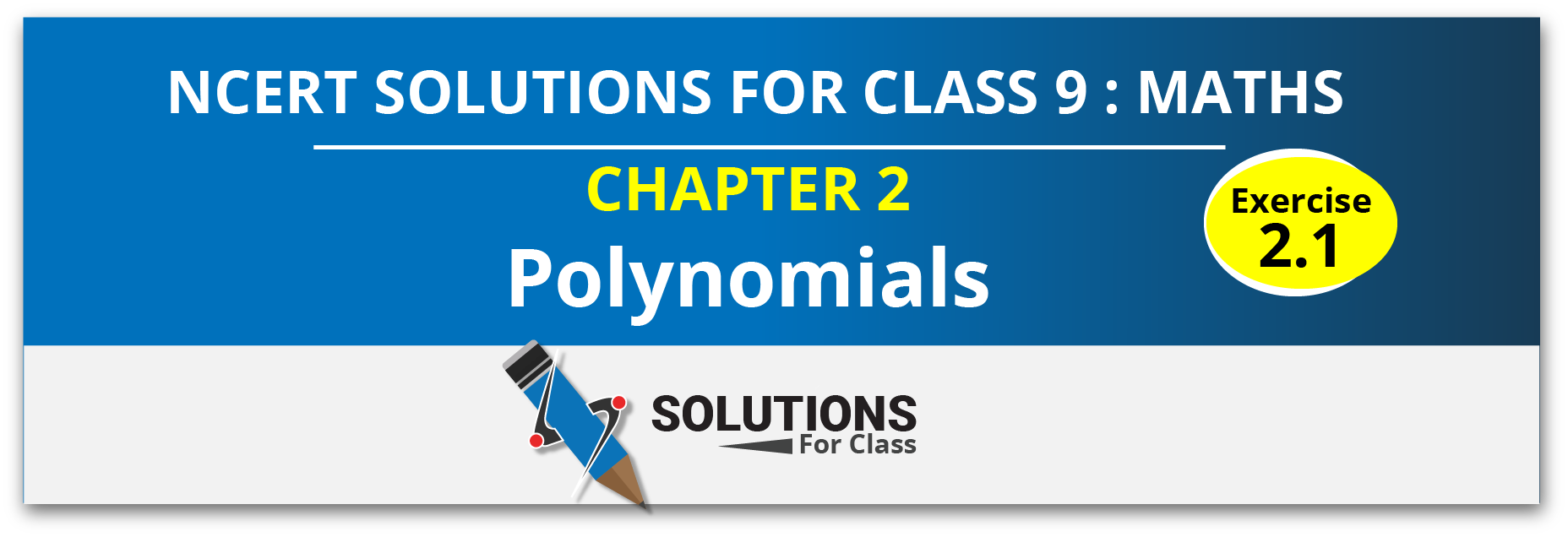 NCERT Solution For Class 9, Maths, Chapter 2, Polynomials, Exercise 2.1