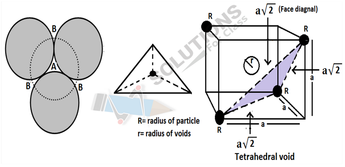 NCERT Solutions for class 12, Solid State, Q 1.7 (ii) Tetrahedral Void