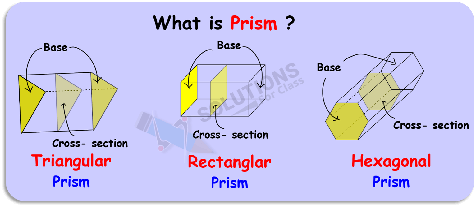 NCERT Solutions For Class 8 Chapter 10, Visulisation of Shapes , Exercise 10.3, Q.3 Prism